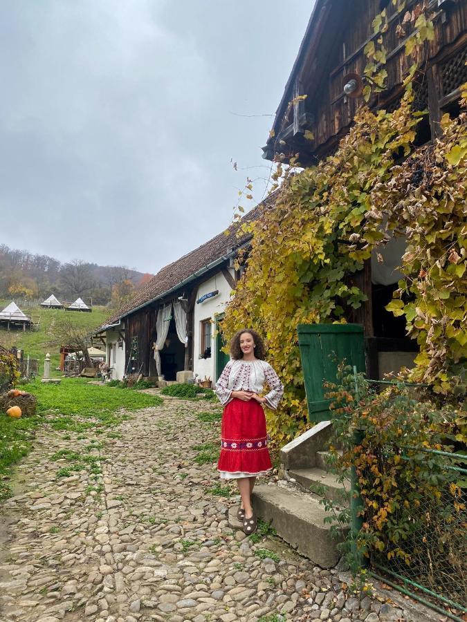 Saschiz 130/Lodging And Glamping Hotel Exterior photo